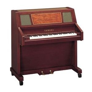Yamaha CEL-56P