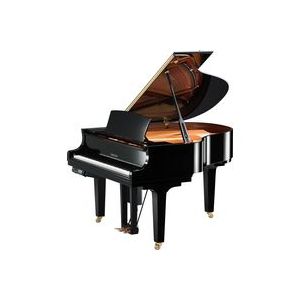 Yamaha DC1E3PE//X