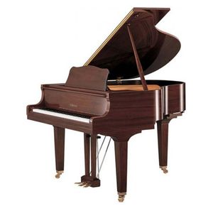 Yamaha C3X PM