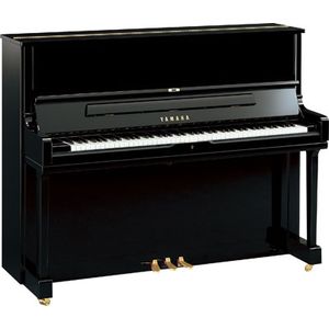 Yamaha DU1 ENST PE